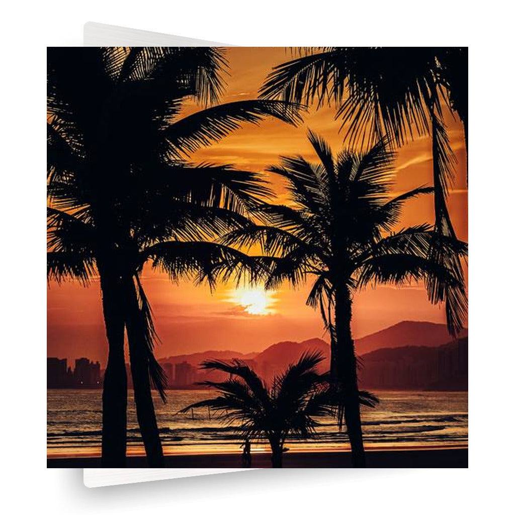 Palm Trees and Sunsets