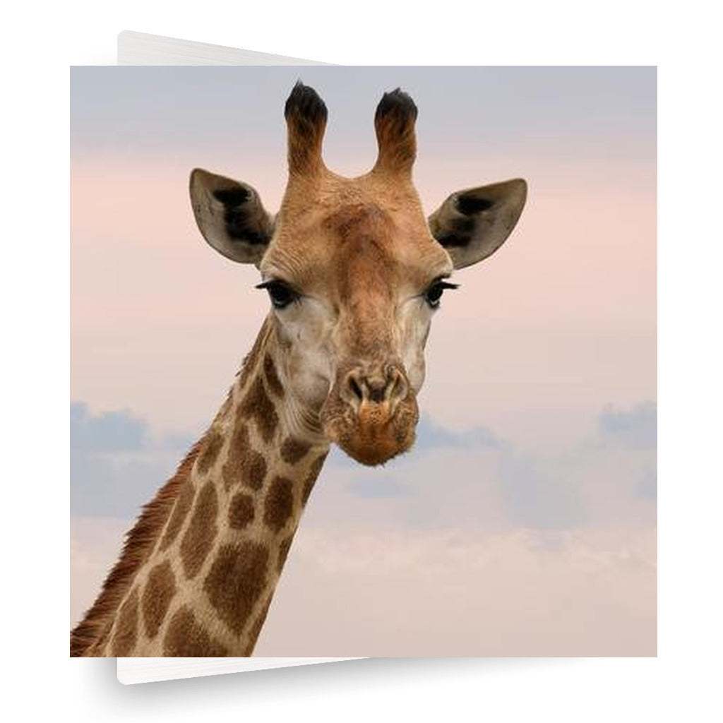durability of metal prints