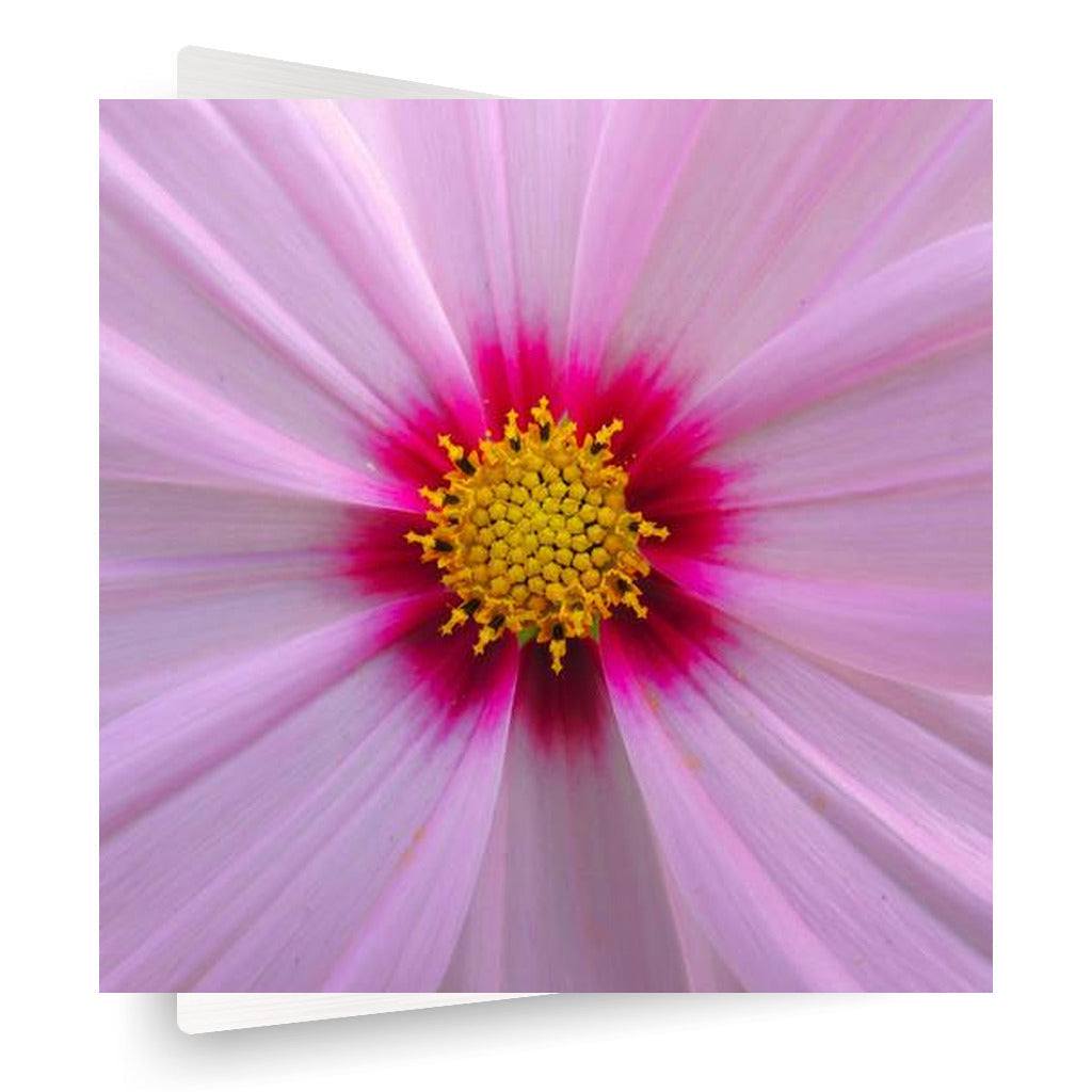 Pink Petals Vertical