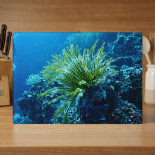 Green sea lily with coral reef underwater scene.