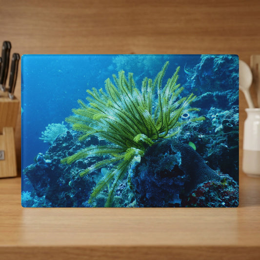 Green sea lily with coral reef in background