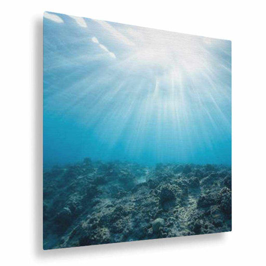 Rays Horizontal Metal