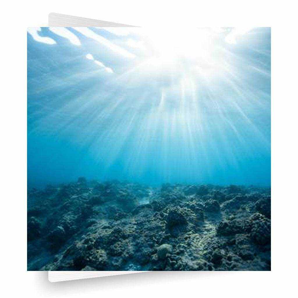 Rays Horizontal Metal
