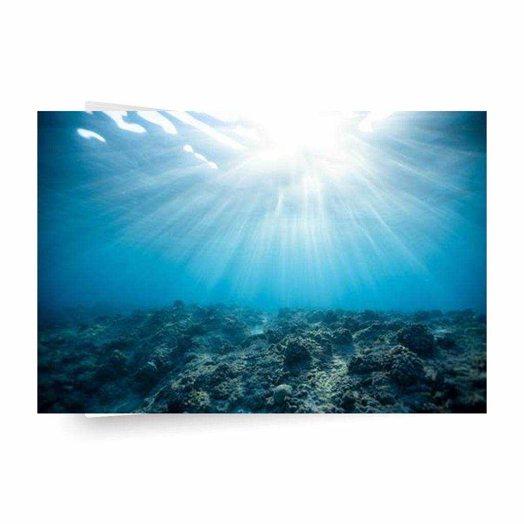 Rays Horizontal Metal