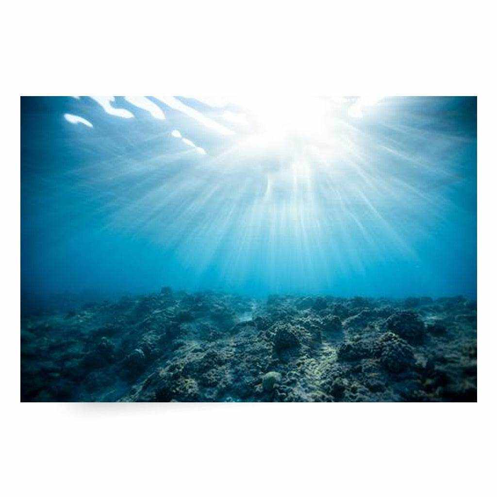 Rays Horizontal Metal