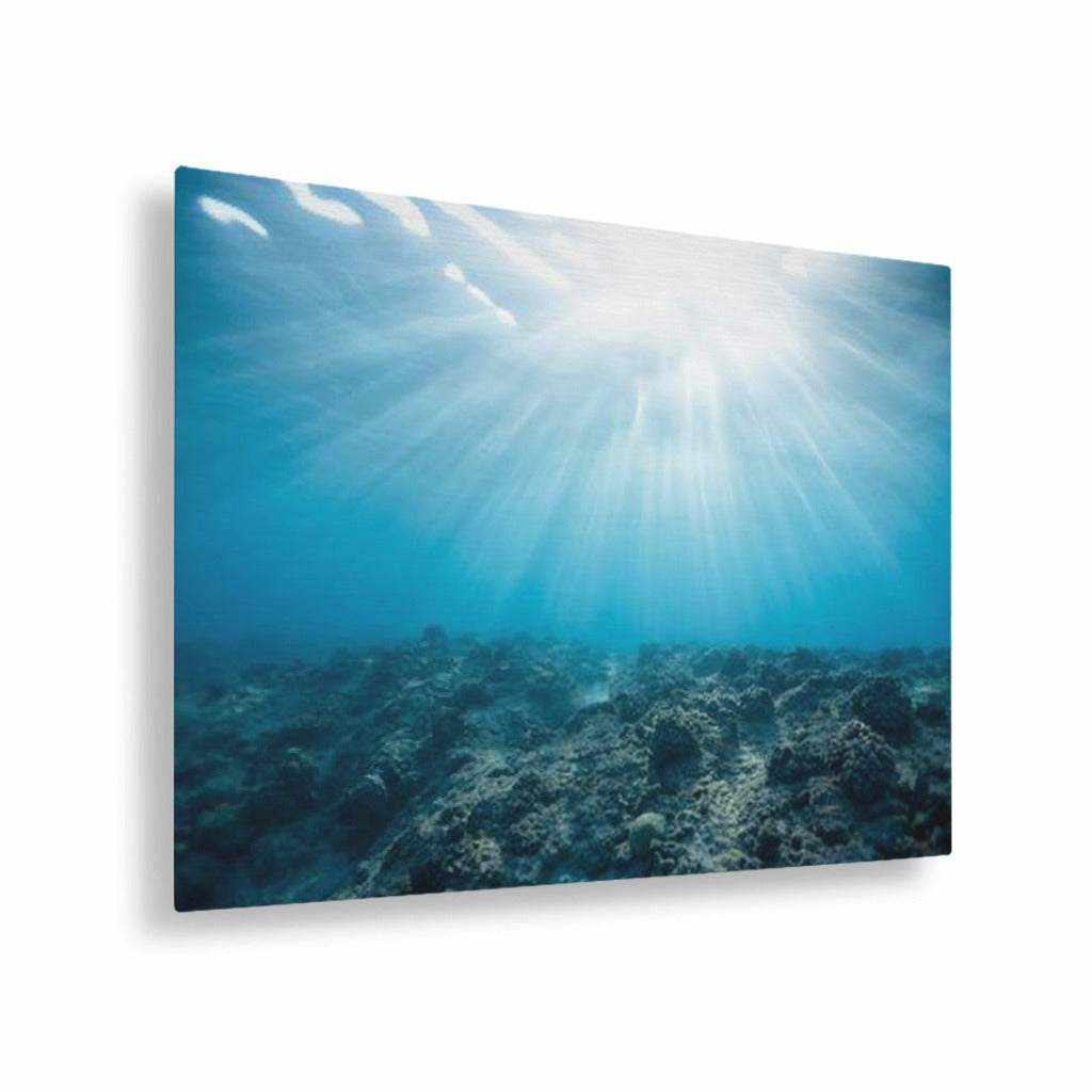 Rays Horizontal Metal