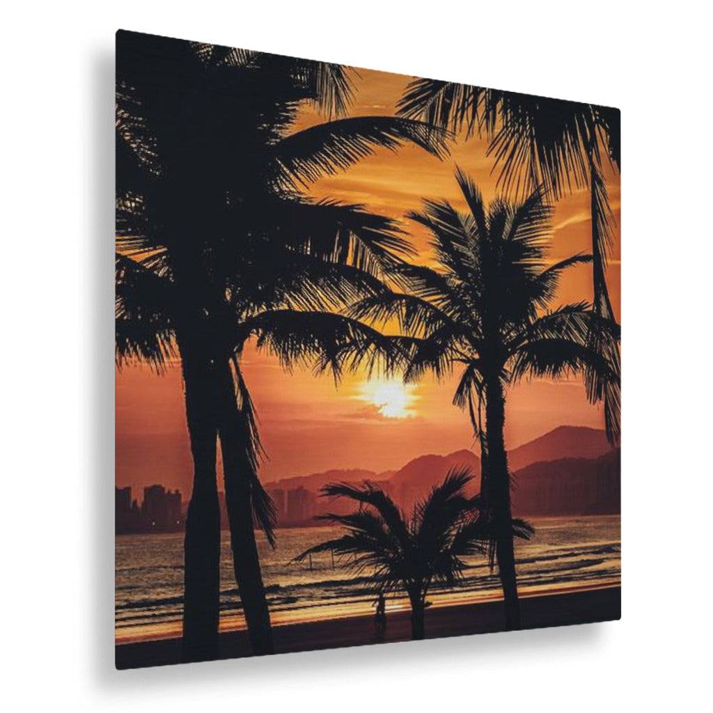 Palm Trees and Sunsets