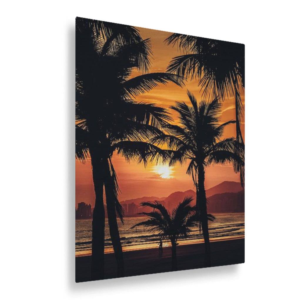 Palm Trees and Sunsets