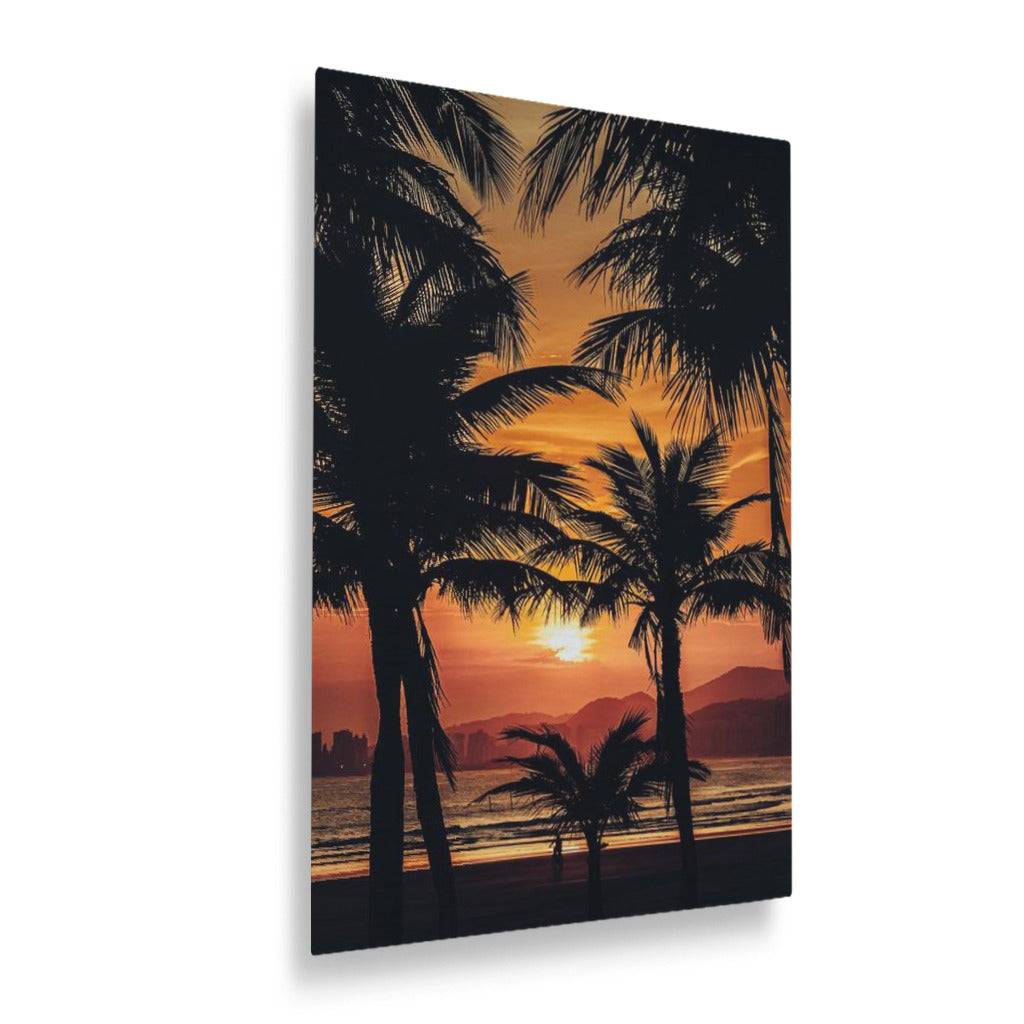 Palm Trees and Sunsets