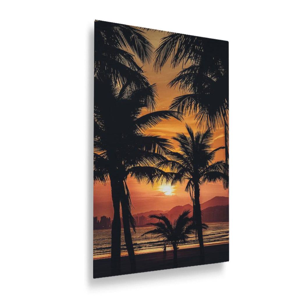 Palm Trees and Sunsets