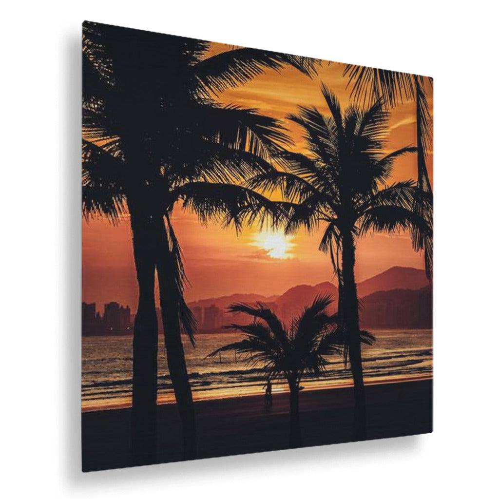 Palm Trees and Sunsets
