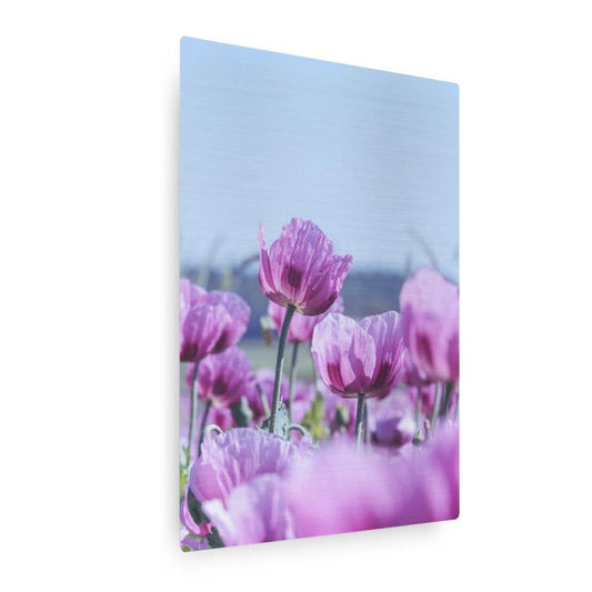 Purple Poppies Vertical
