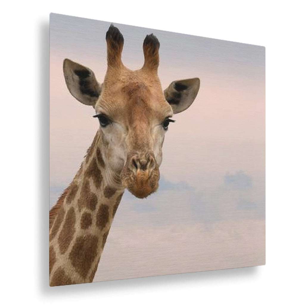 durability of metal prints