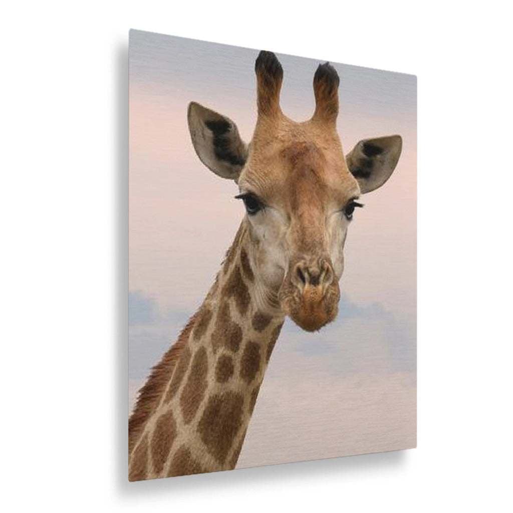 durability of metal prints