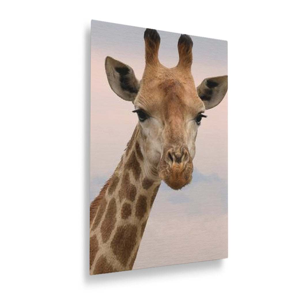 durability of metal prints