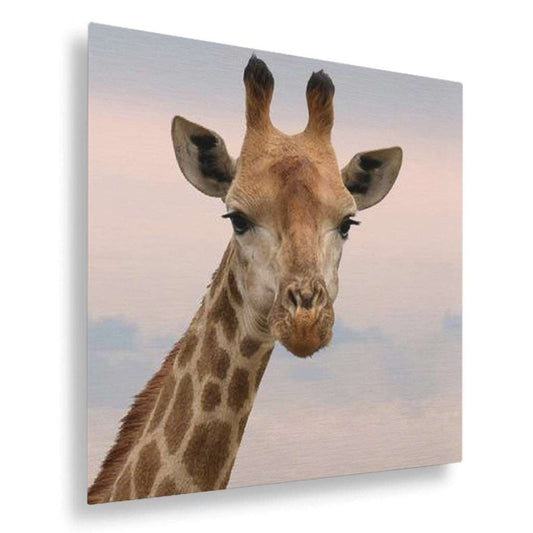 durability of metal prints