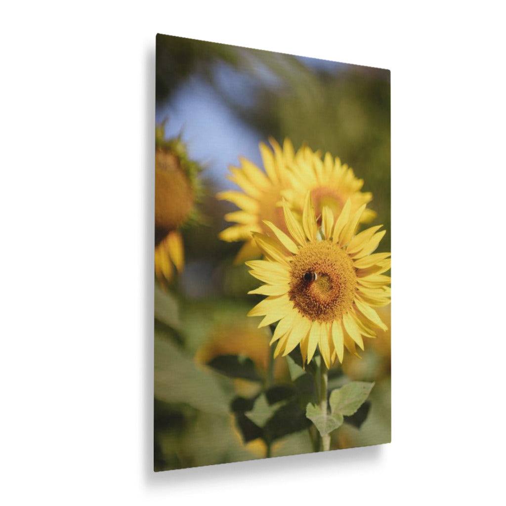 Yellow Freshness Vertical