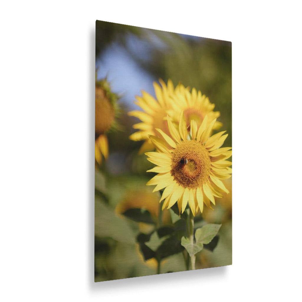 Yellow Freshness Vertical