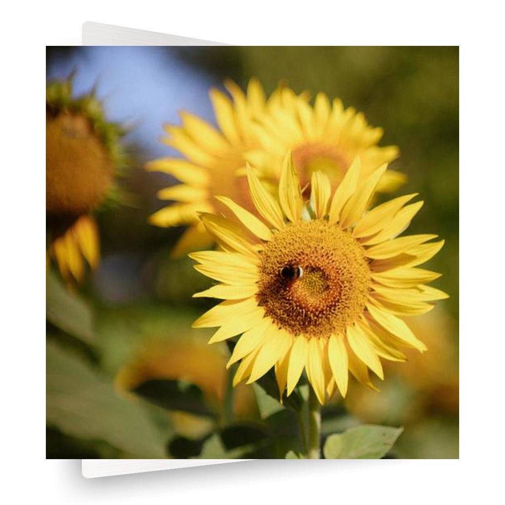 Yellow Freshness Vertical