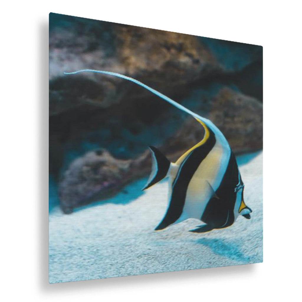 A Fish Called Gill
