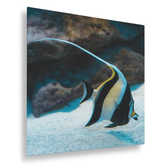 A Fish Called Gill