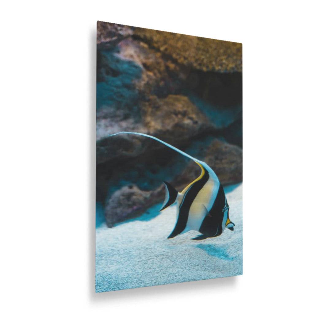 A Fish Called Gill