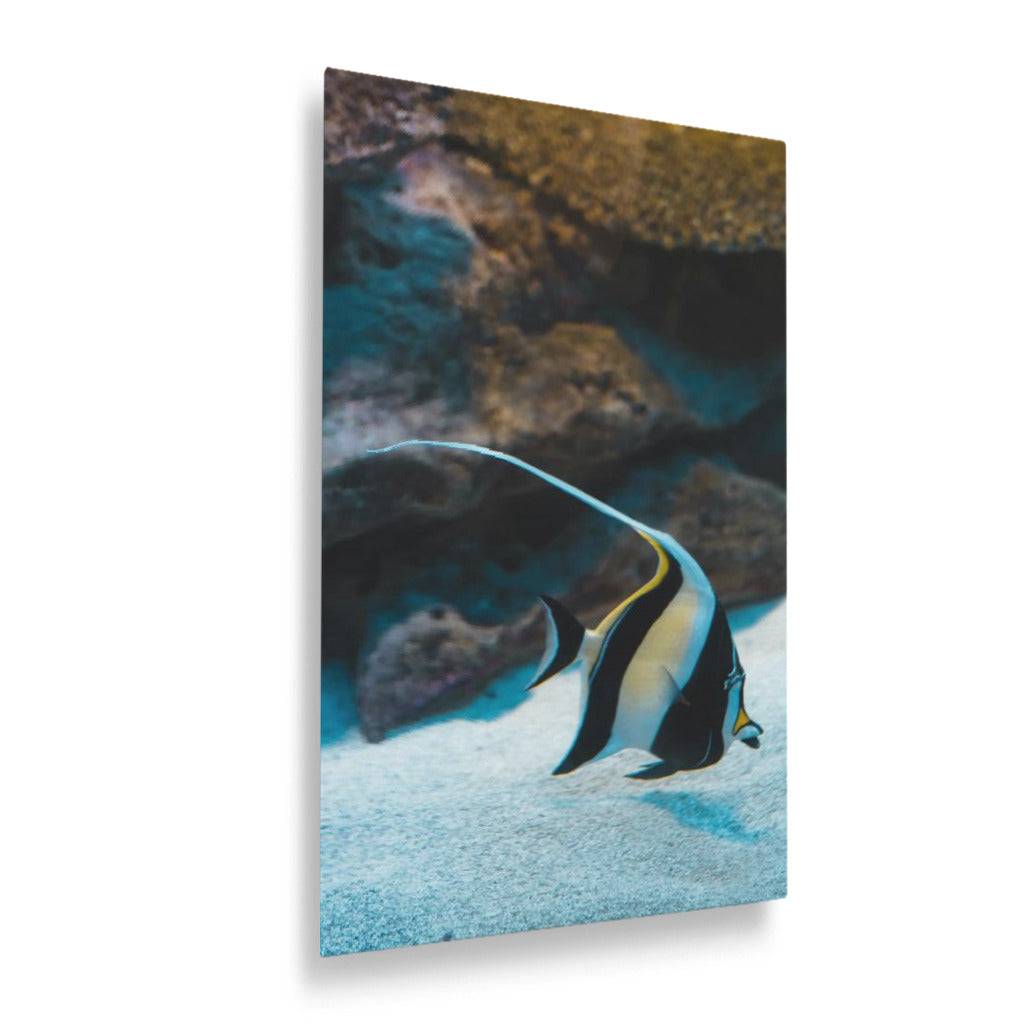 A Fish Called Gill