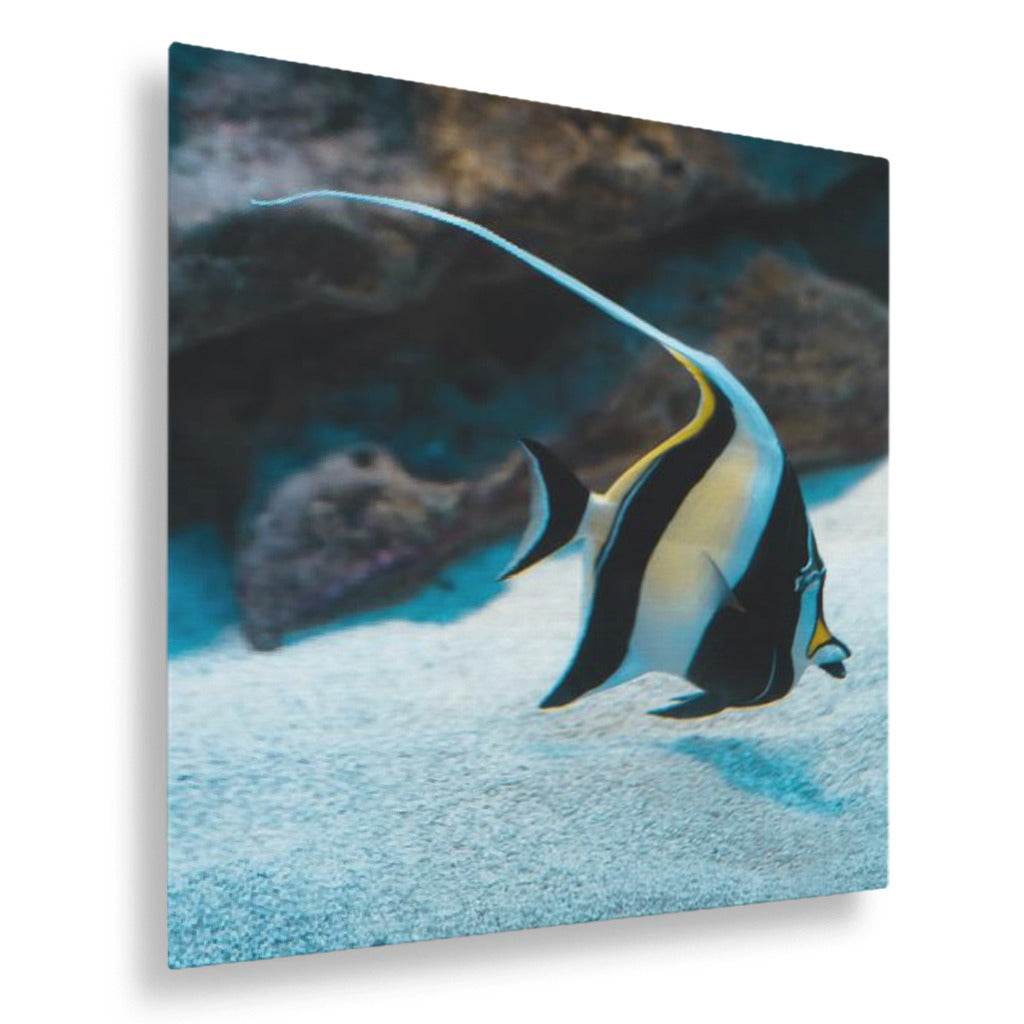 A Fish Called Gill