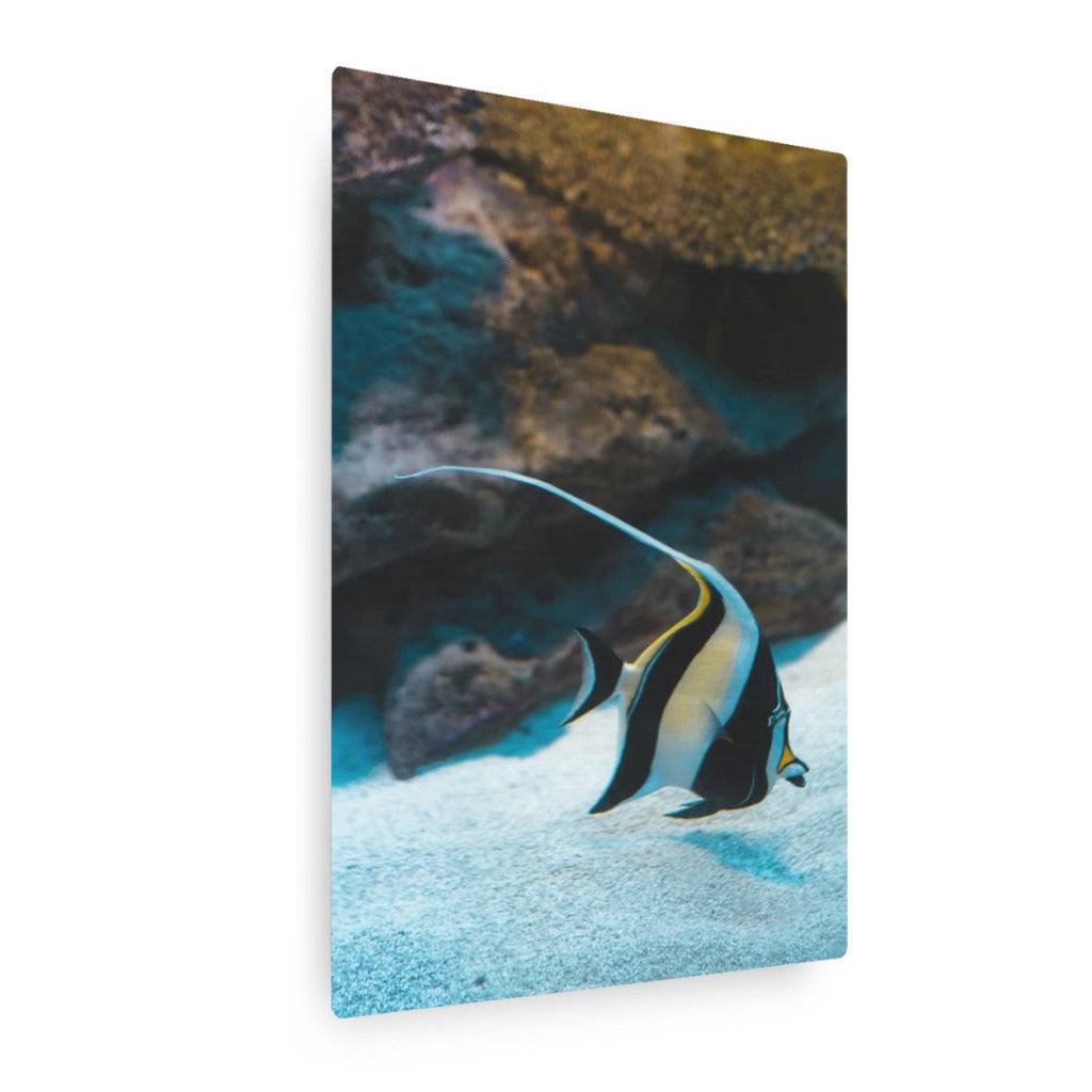 A Fish Called Gill