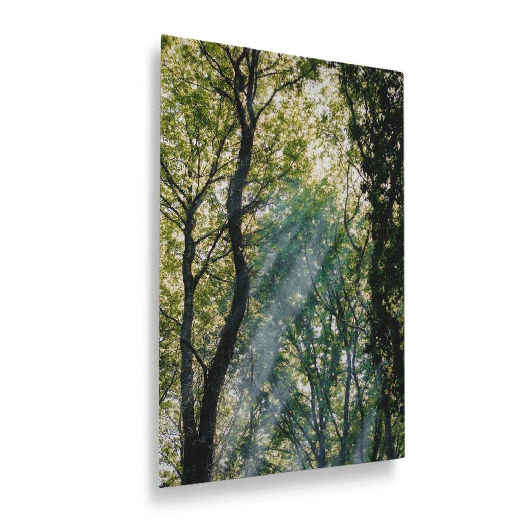 Treelight Vertical Metal