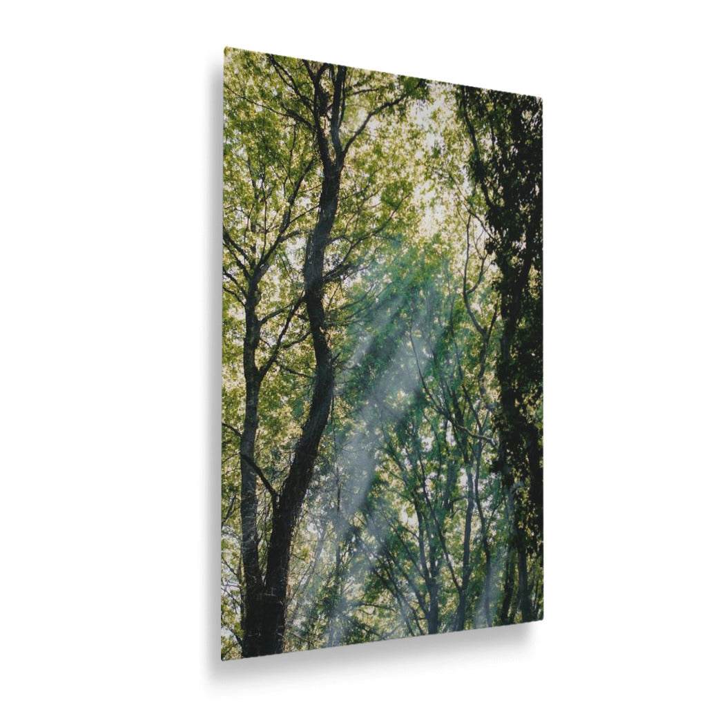 Treelight Vertical Metal