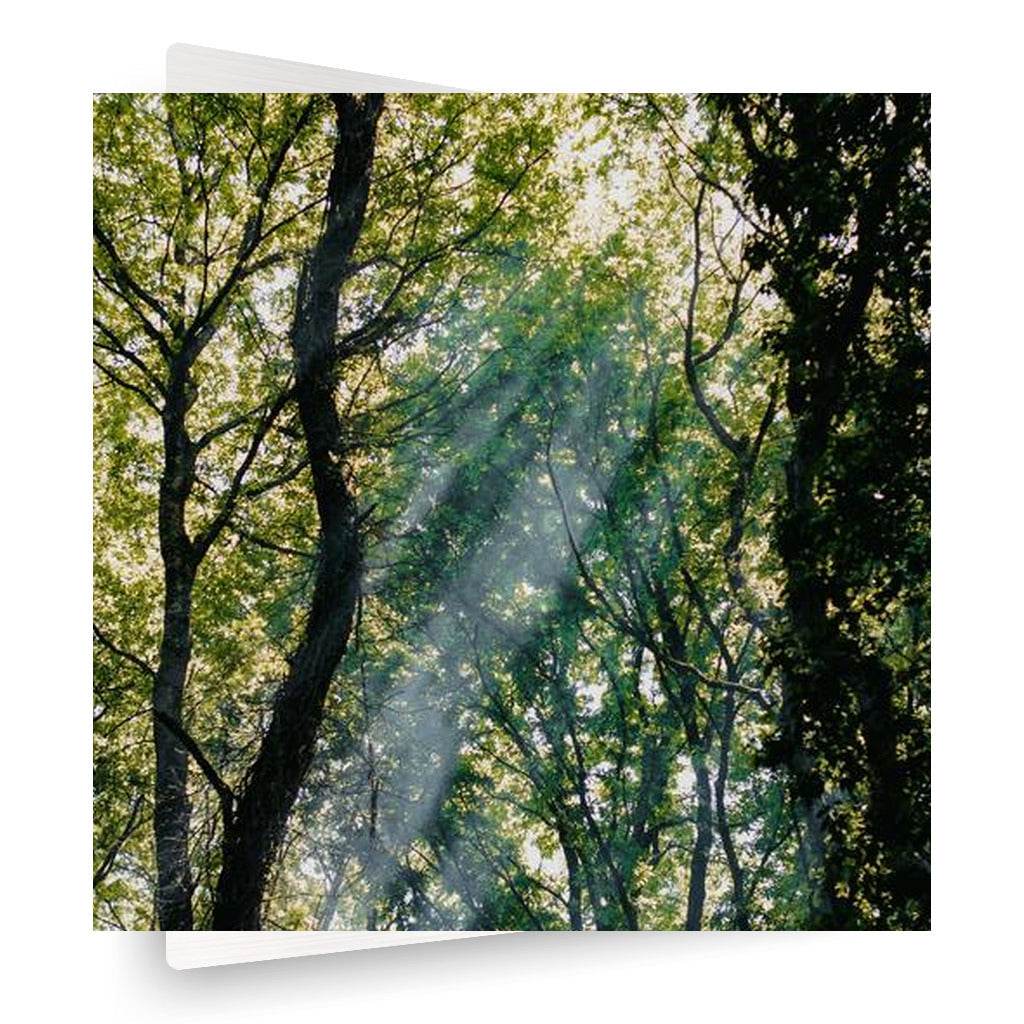 Treelight Vertical Metal