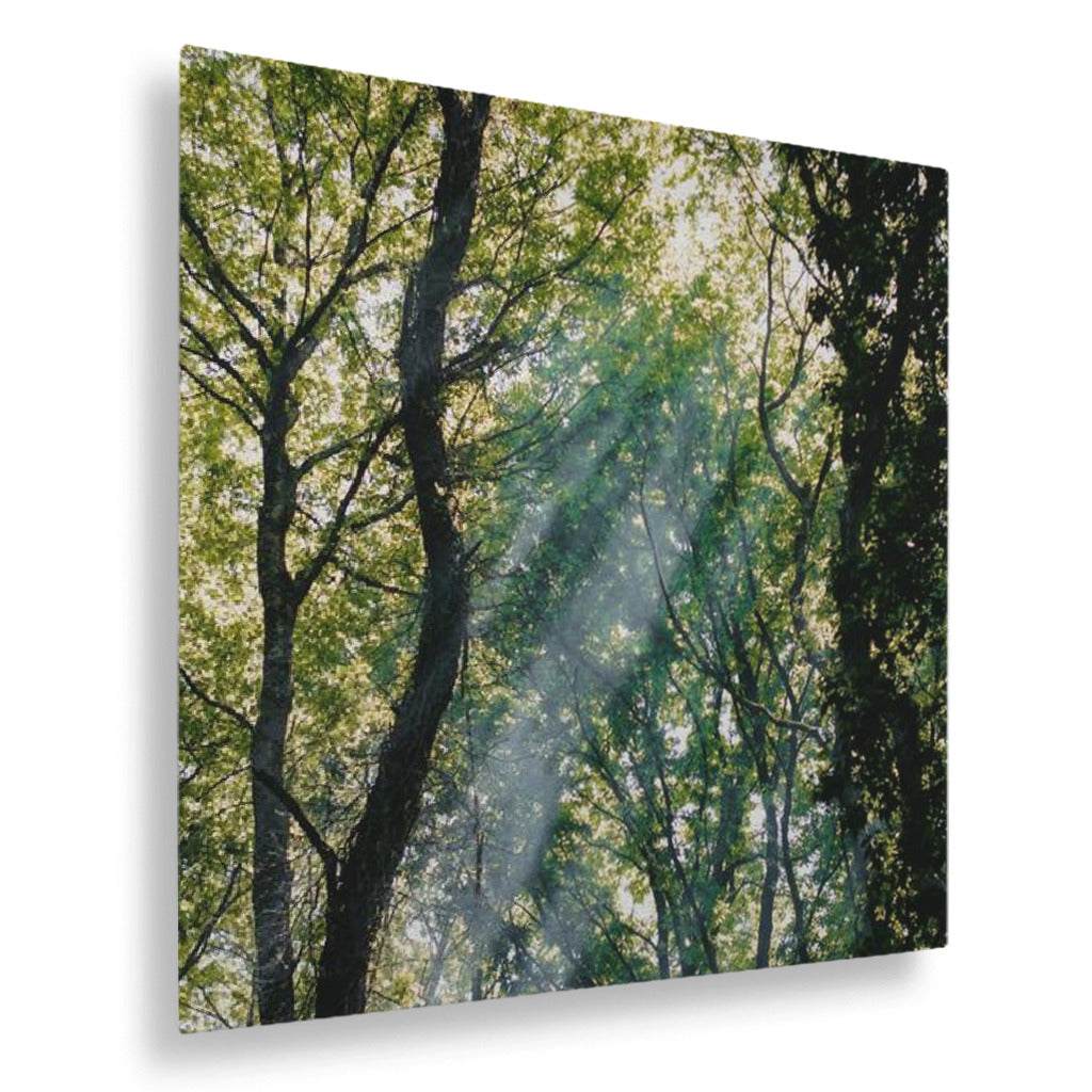 Treelight Vertical Metal