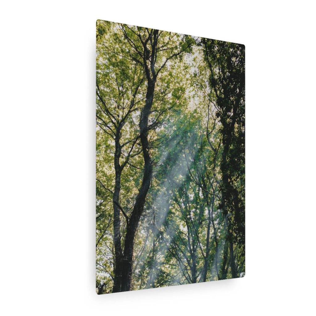 Treelight Vertical Metal