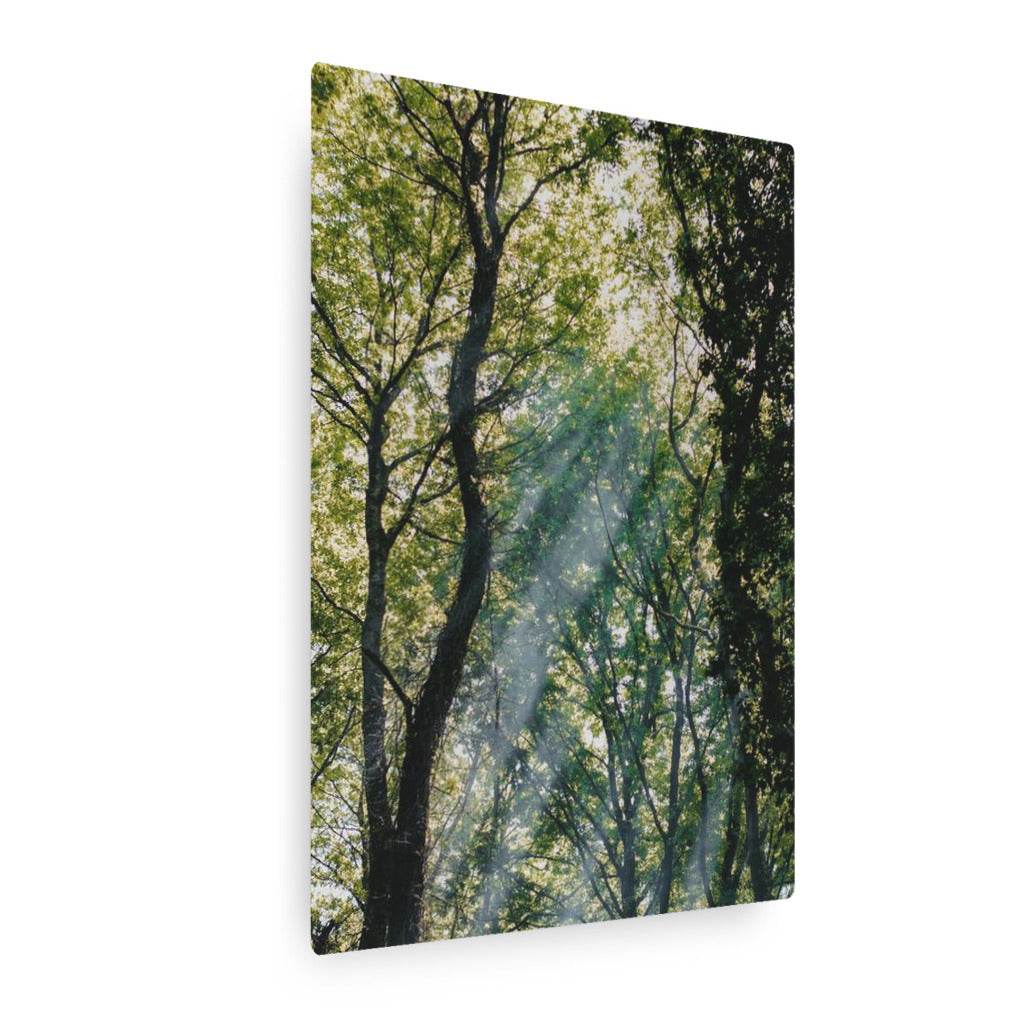 Treelight Vertical Metal