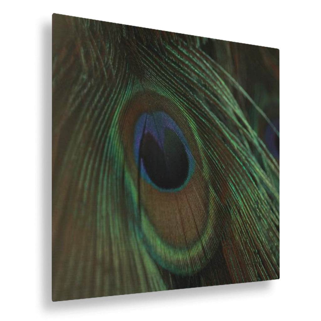 Eye of the Peacock