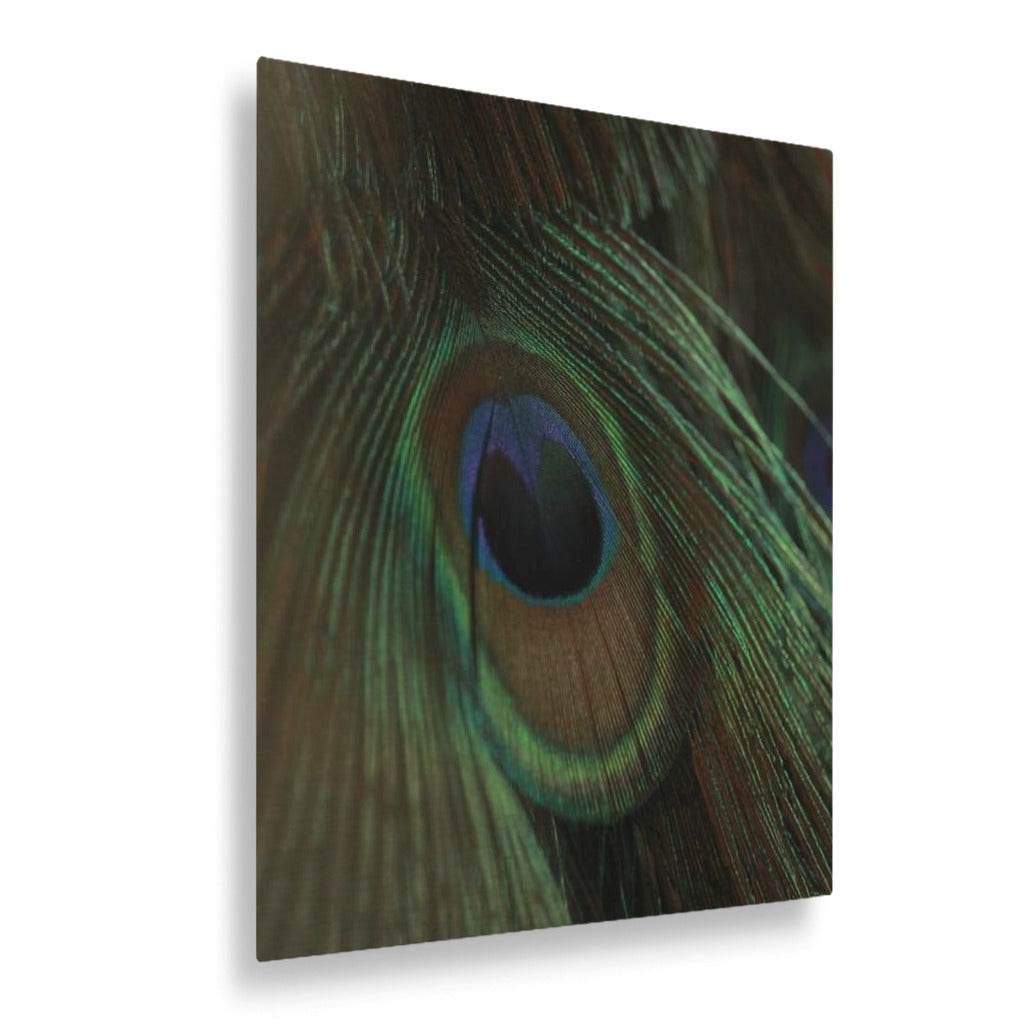 Eye of the Peacock