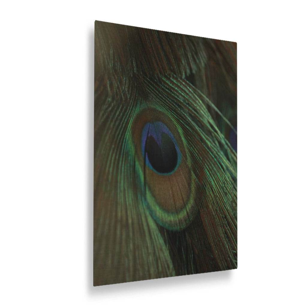 Eye of the Peacock