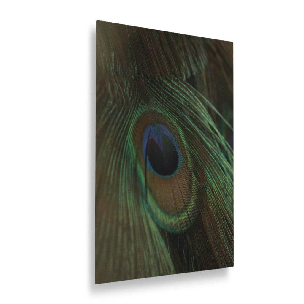 Eye of the Peacock