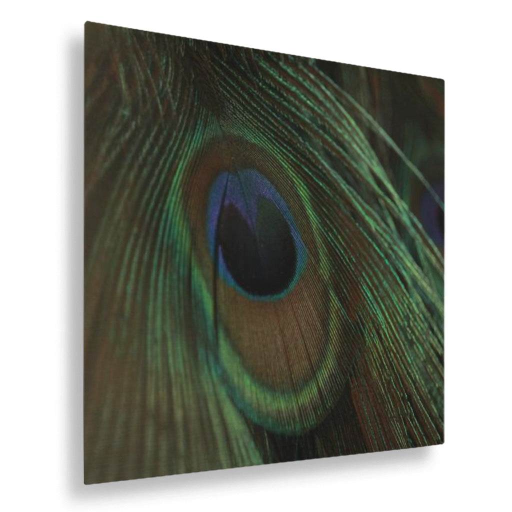 Eye of the Peacock