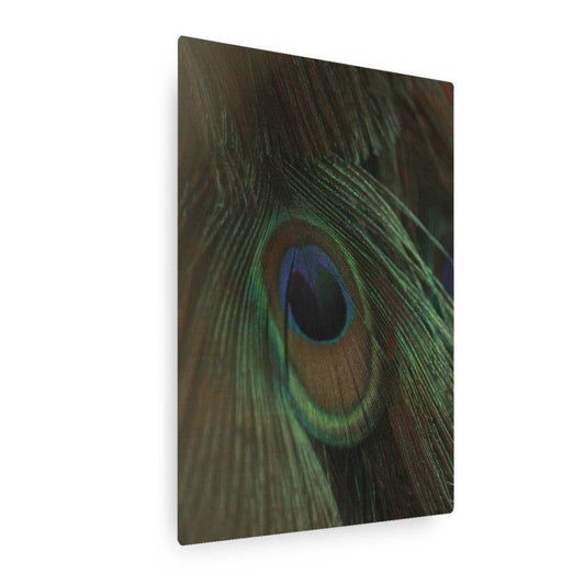 Eye of the Peacock