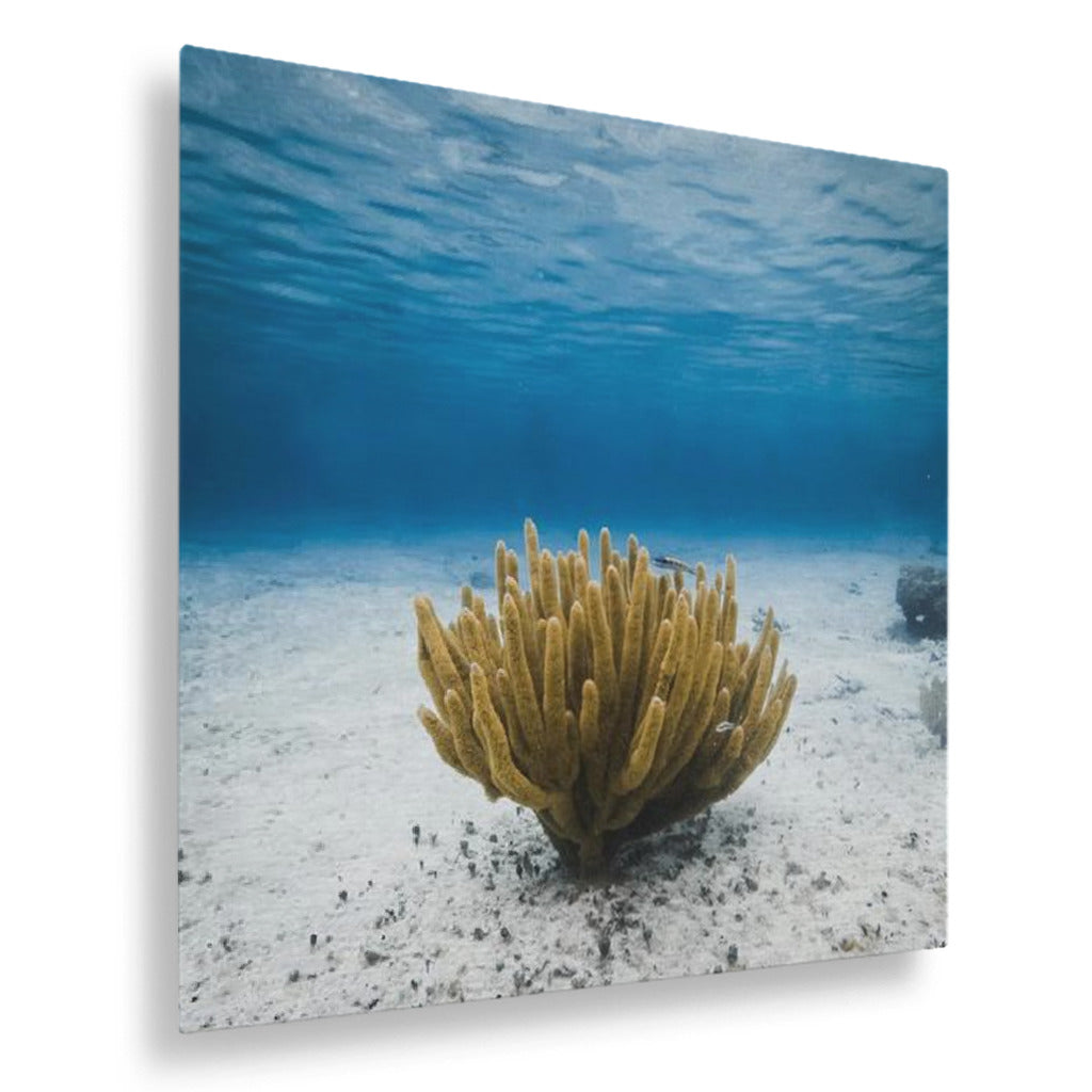 front_79