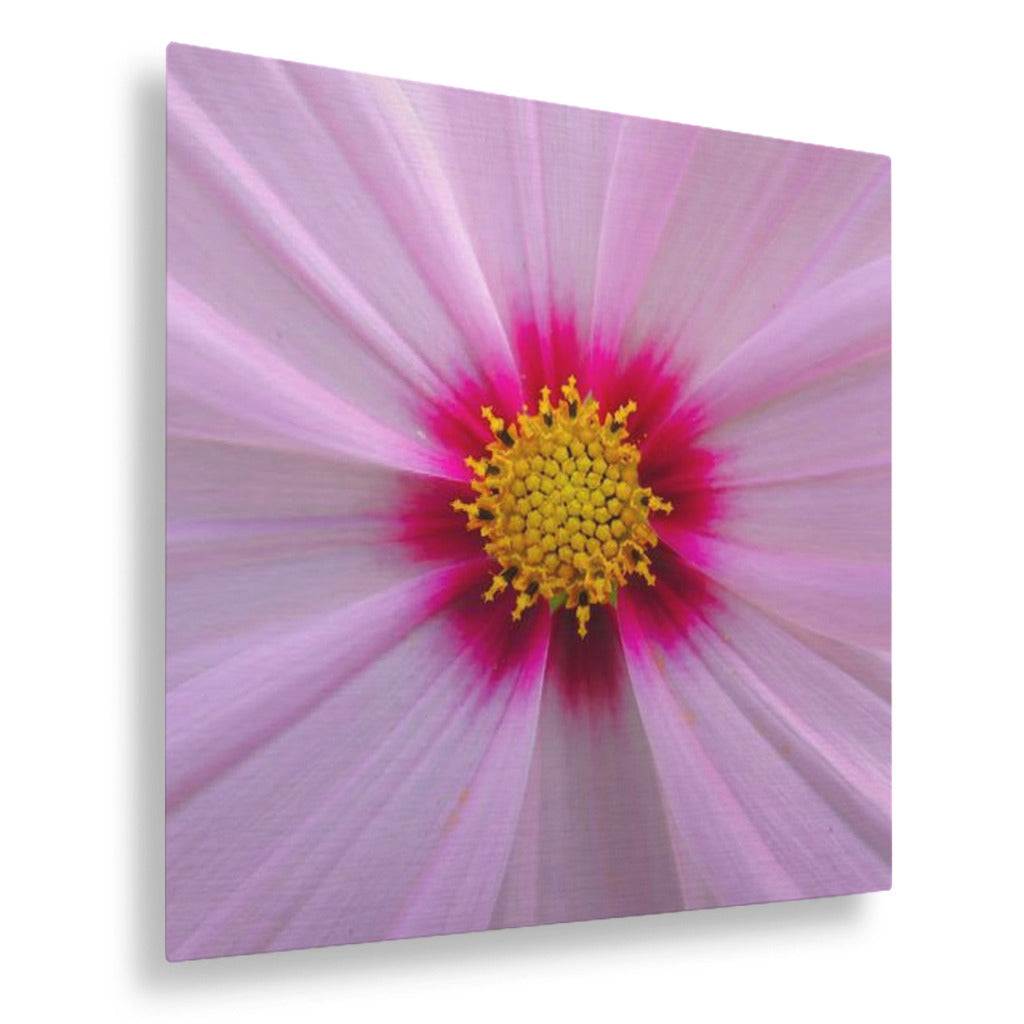 Pink Petals Vertical