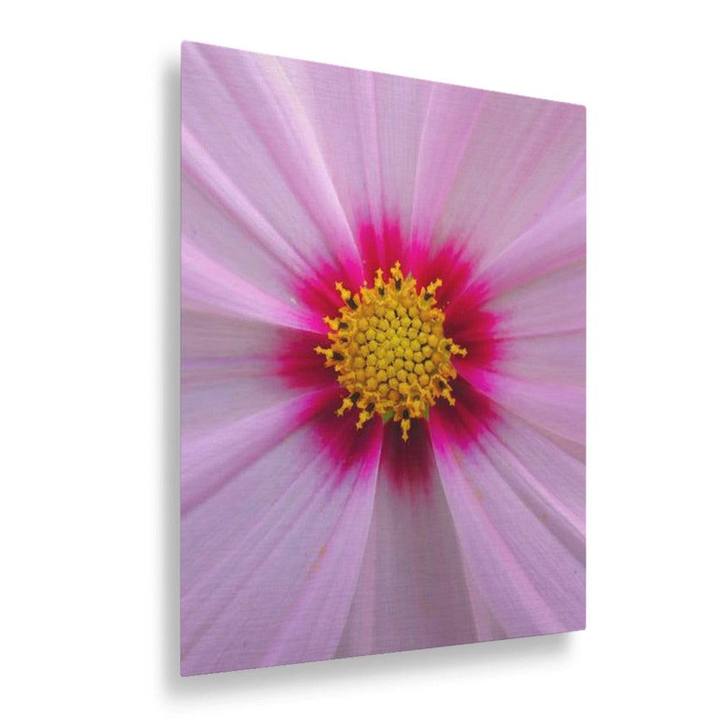 Pink Petals Vertical