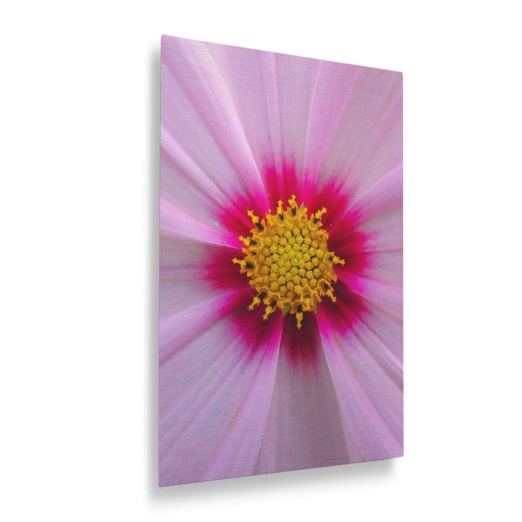 Pink Petals Vertical