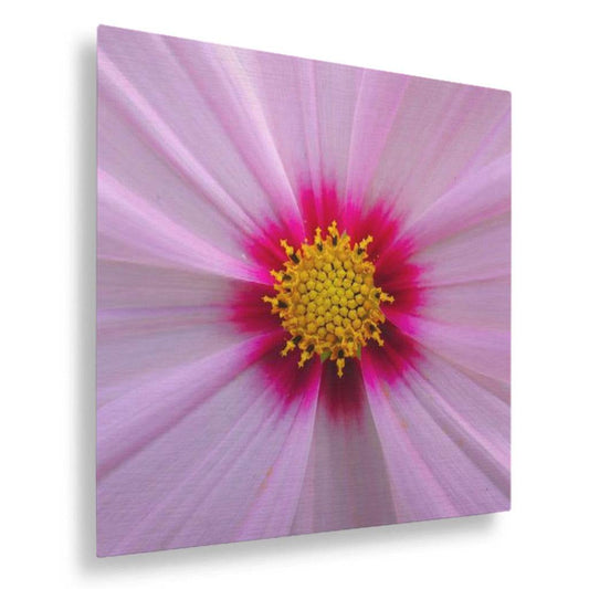 Pink Petals Vertical