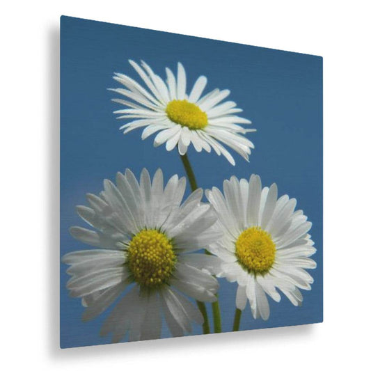 Daisies Vertical Metal
