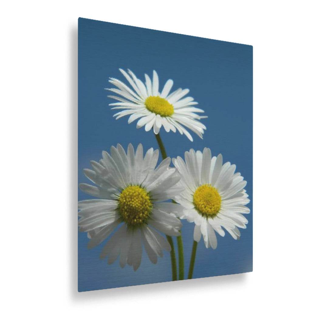 Daisies Vertical Metal