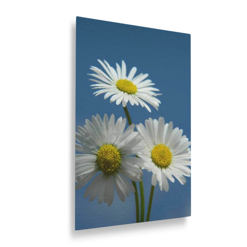 Daisies Vertical Metal