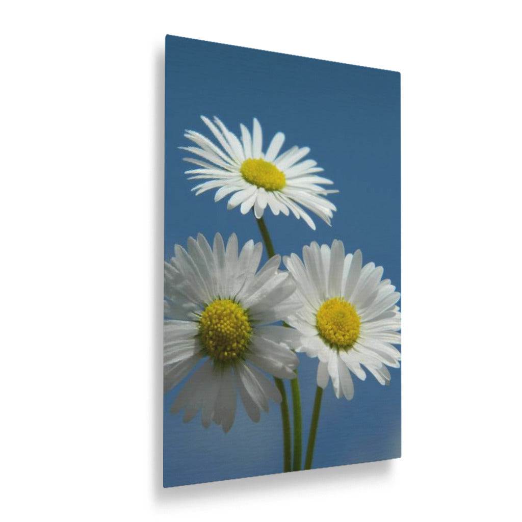 Daisies Vertical Metal